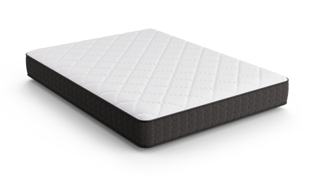 6" Gabriella Plush Foam Mattress