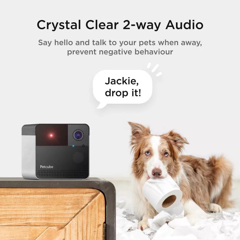 Petcube Play 2 Wi-Fi Pet Camera with Laser Toy for Cats & Dogs: Indoor Camera, Night Vision