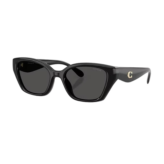 Coach HC8434U Women's Cat-Eye Gradient Sunglasses