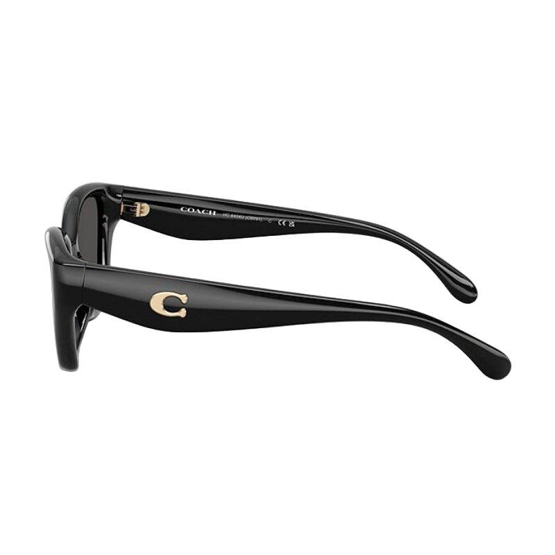 Coach HC8434U Women's Cat-Eye Gradient Sunglasses