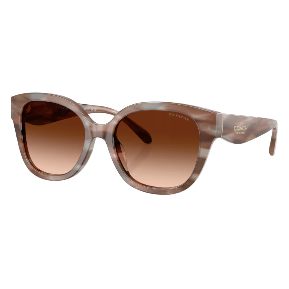 Coach HC8438U Women's Square Gradient Sunglasses