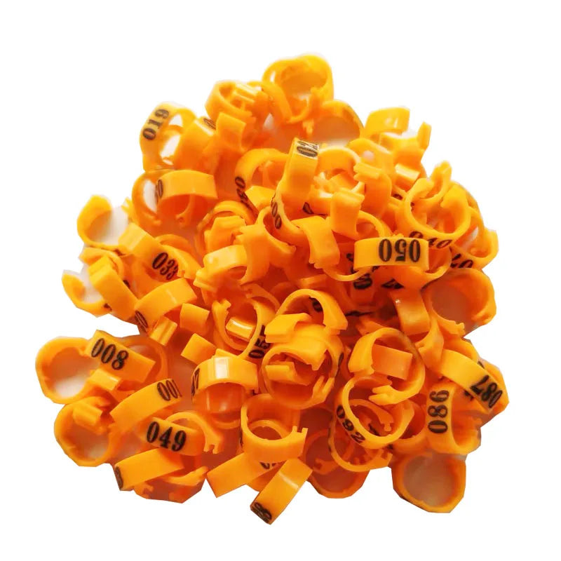 Inner Diameter 8mm Pigeon Leg Bands Poultry Dove Bird Parrot Clip Rings Band Foot Ring Pigeon Supplies Bird Appliances 100 Pcs
