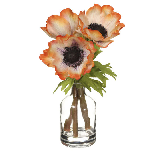 Allstate Floral 8.5" Anemone Flower Arrangement with Glass Vase - Orange