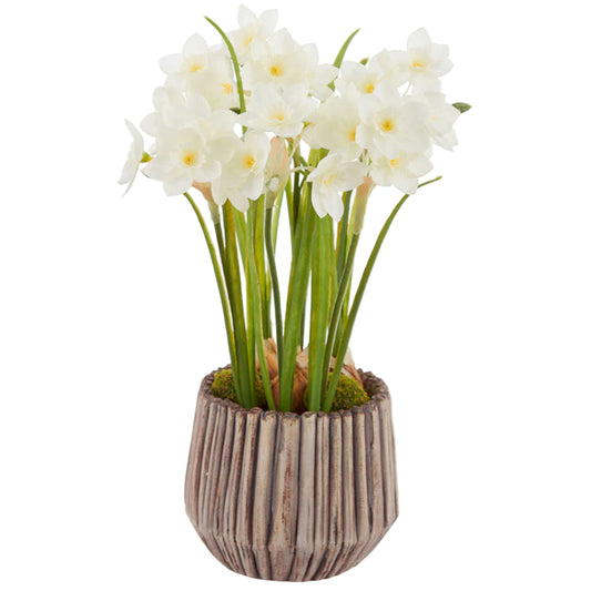 Allstate Floral 14" Narcissus Daffodil With Bulb Flower Arrangement with Cement Pot - White
