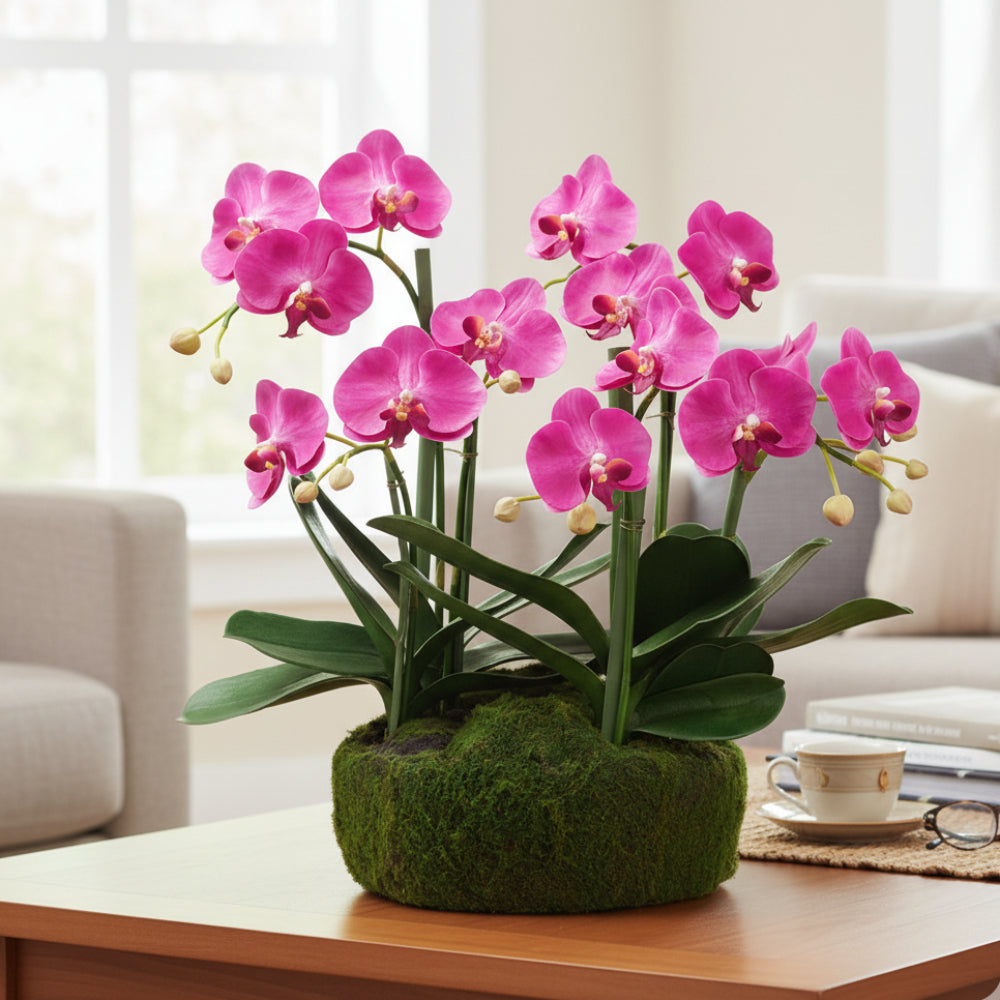 Allstate Floral 20" Phalaenopsis Orchid Flower Arrangement with Soil and Moss Base - Pink