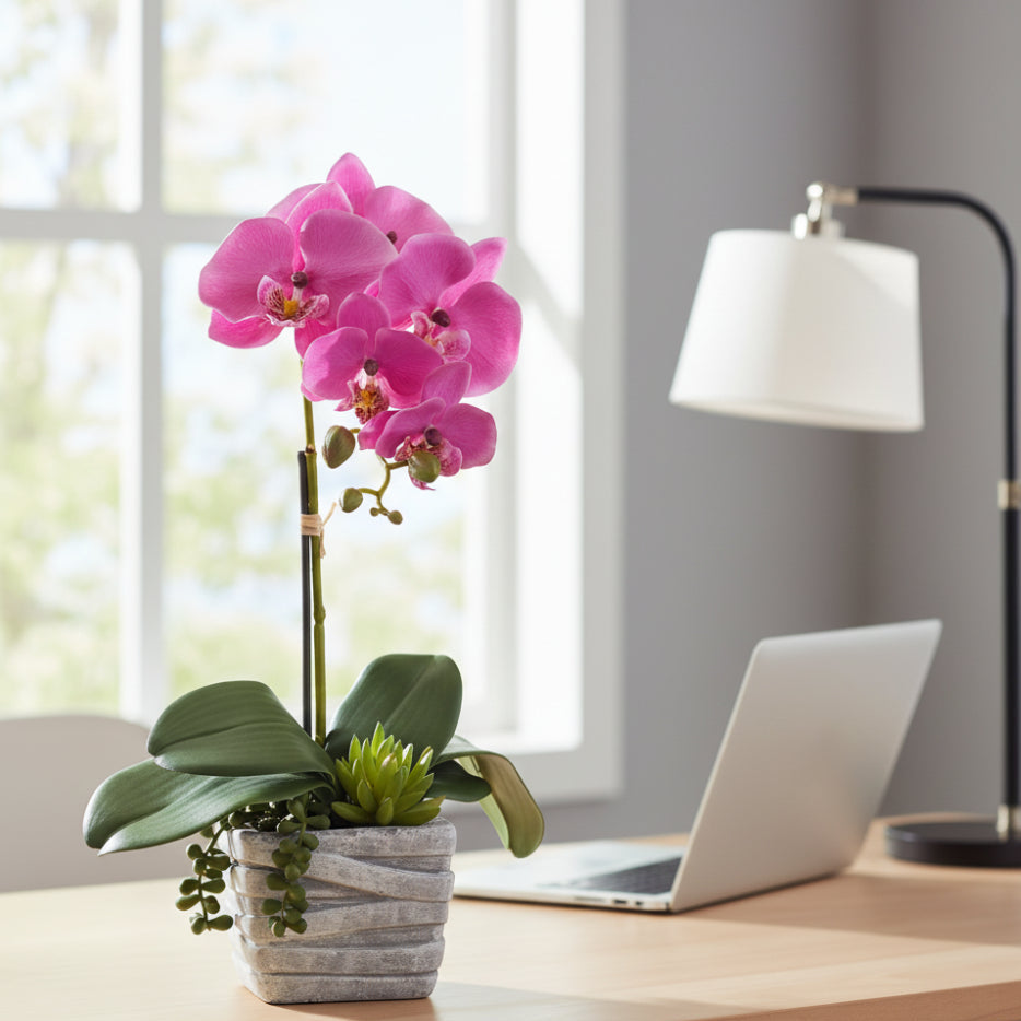 Allstate Floral 16" Phalaenopsis Orchid & Succulent Flower Arrangement with Pot - Pink