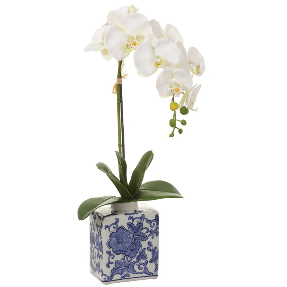 Allstate Floral 22" Phalaenopsis Orchid Flower Arrangement with Ceramic Vase - White