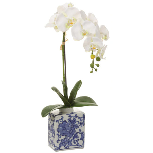 Allstate Floral 22" Phalaenopsis Orchid Flower Arrangement with Ceramic Vase - White