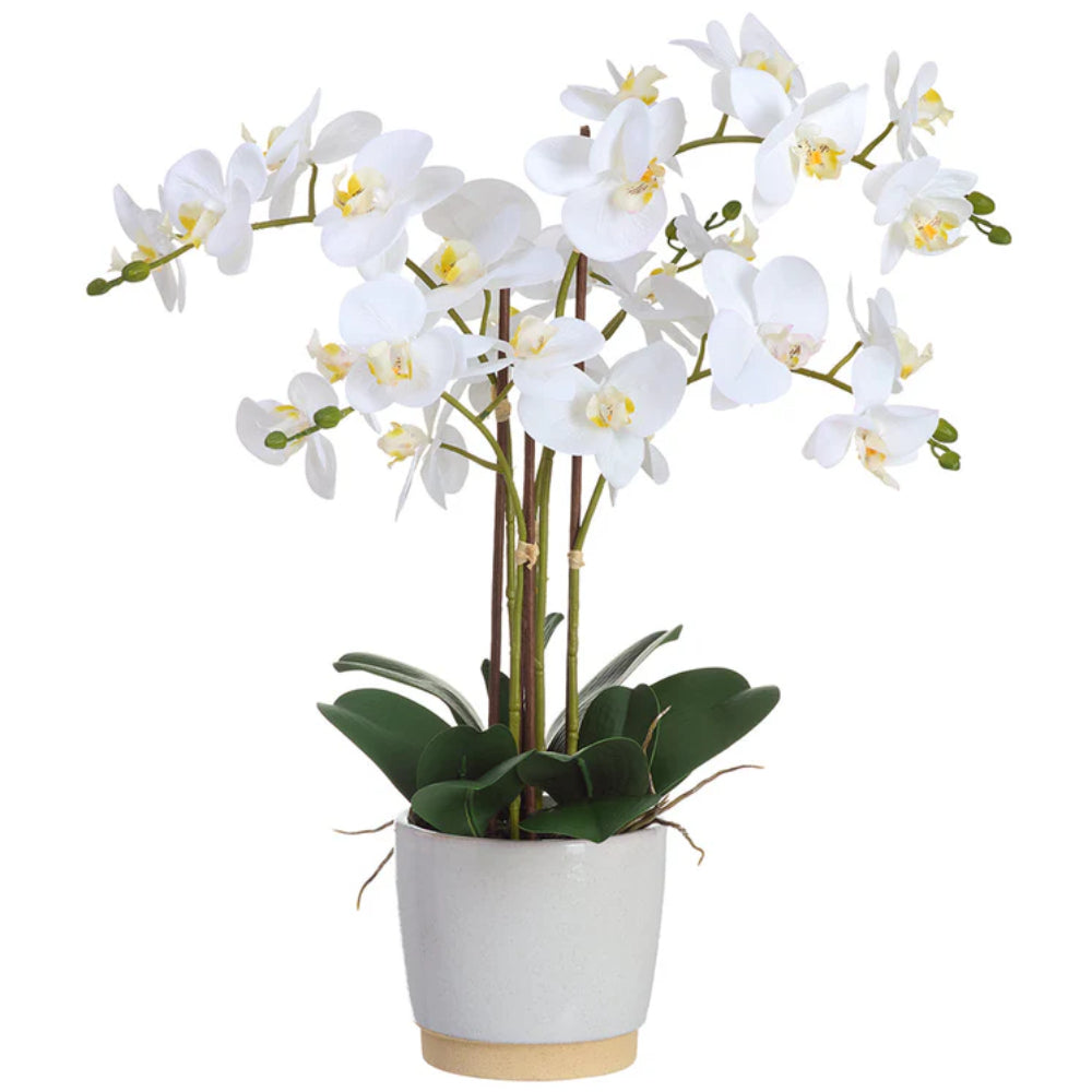 Allstate Floral 26" Phalaenopsis Orchid Flower Arrangement with Ceramic Vase - White