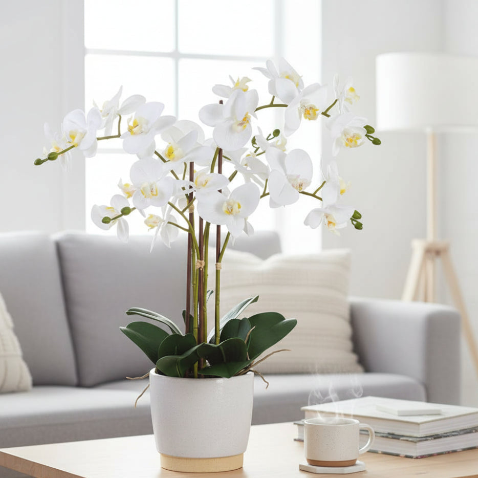 Allstate Floral 26" Phalaenopsis Orchid Flower Arrangement with Ceramic Vase - White