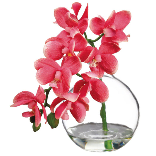 Allstate Floral 10" Phalaenopsis Orchid Flower Arrangement with Glass Vase - Pink
