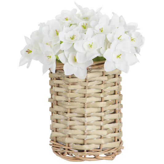 Allstate Floral 7" Paperwhite Flower Arrangement with Basket - White