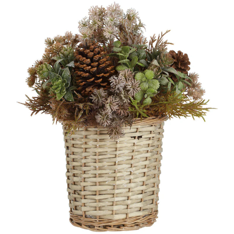 Allstate Floral Sedum, Grass & Pinecone Flower Arrangement with Basket - Brown