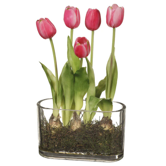 Allstate Floral 13" Tulip Flower & Bulb Arrangement with Glass Vase - Pink