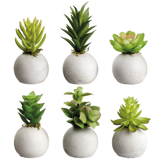 Allstate Floral Succulent Garden Artificial Plant with Cement Pot - Assortment