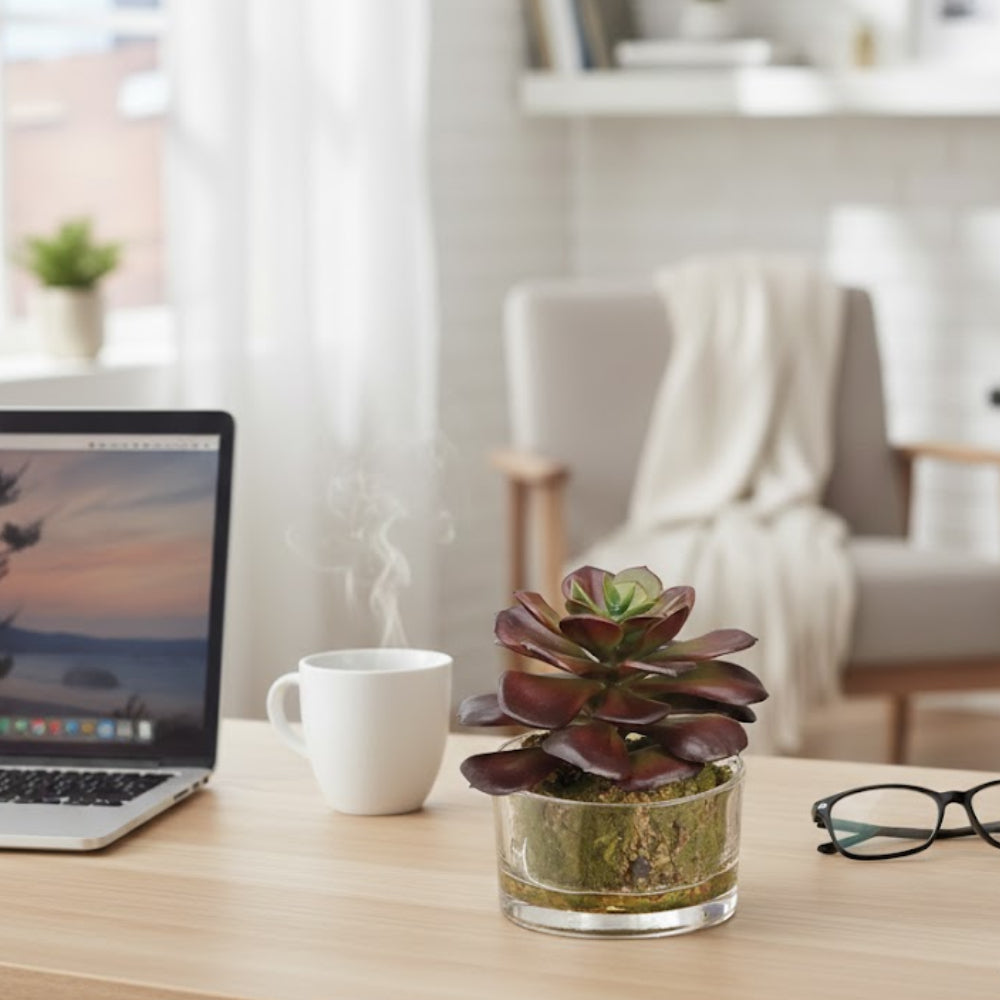 Allstate Floral Succulent Garden Artificial Plant with Glass Vase - As–  Curacao, image size:1000x1000