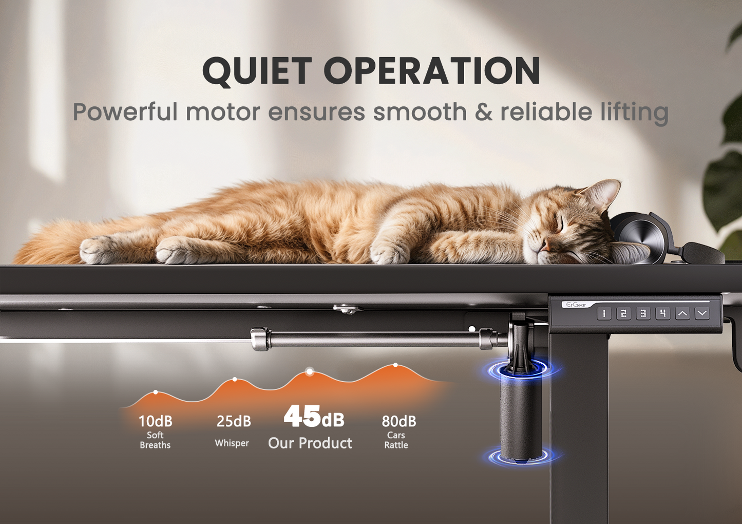 ErGear Height Adjustable Electric Standing Desk - Black