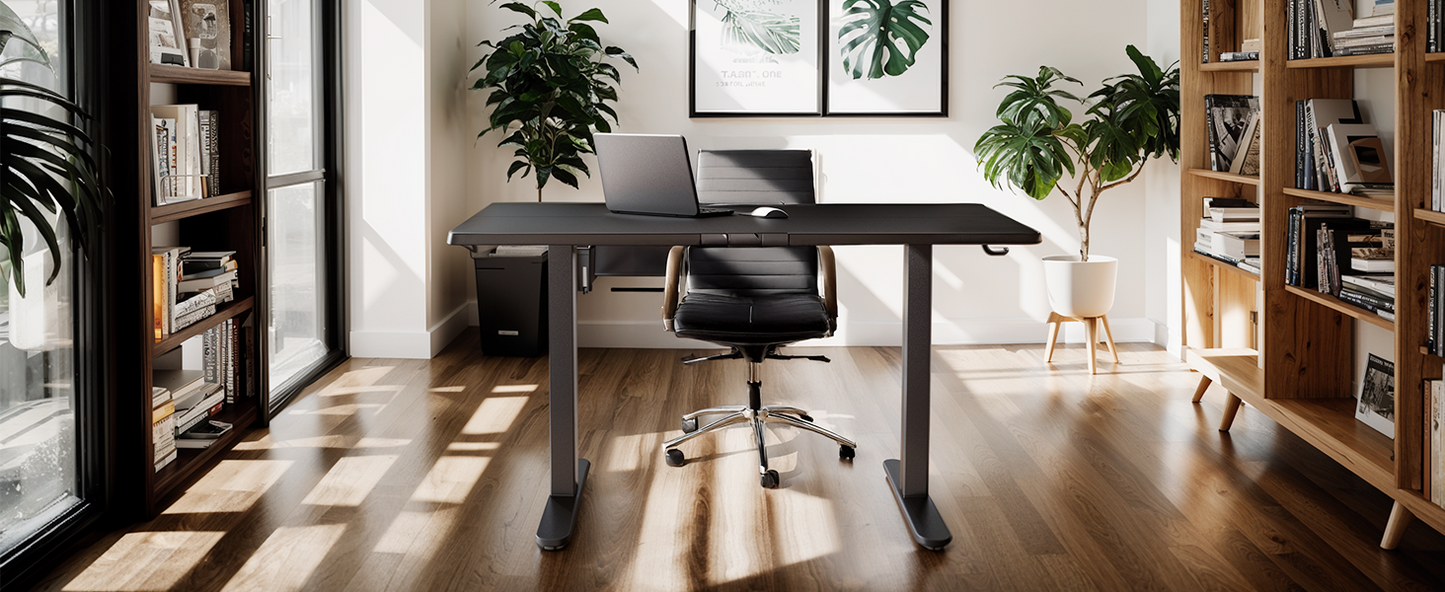 ErGear Height Adjustable Electric Standing Desk - Black