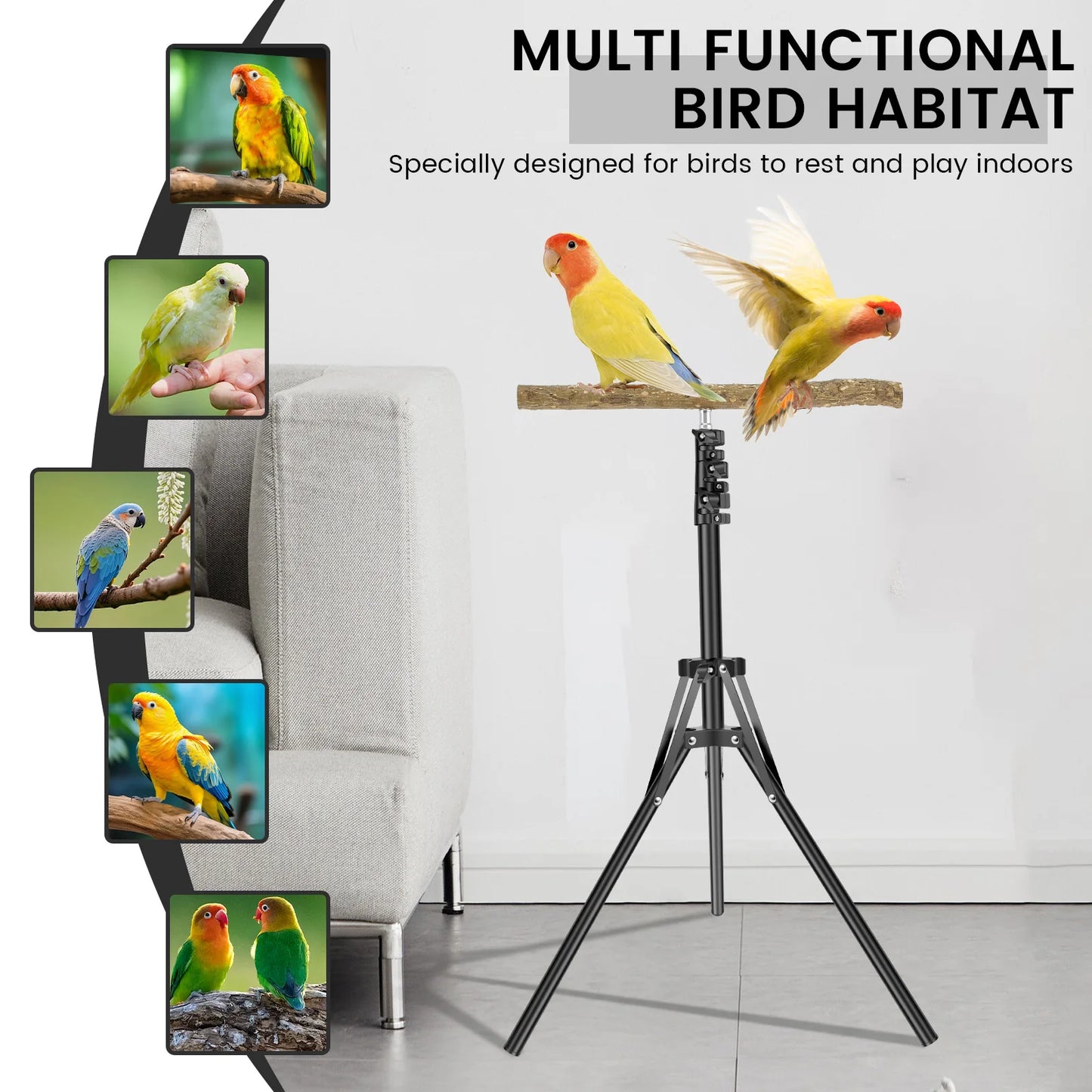Wood Bird Branch Stand Height Adjustable Foldable Parrot Bird Training Perch Pet Bird Toy Portable Outdoor Perches Platform