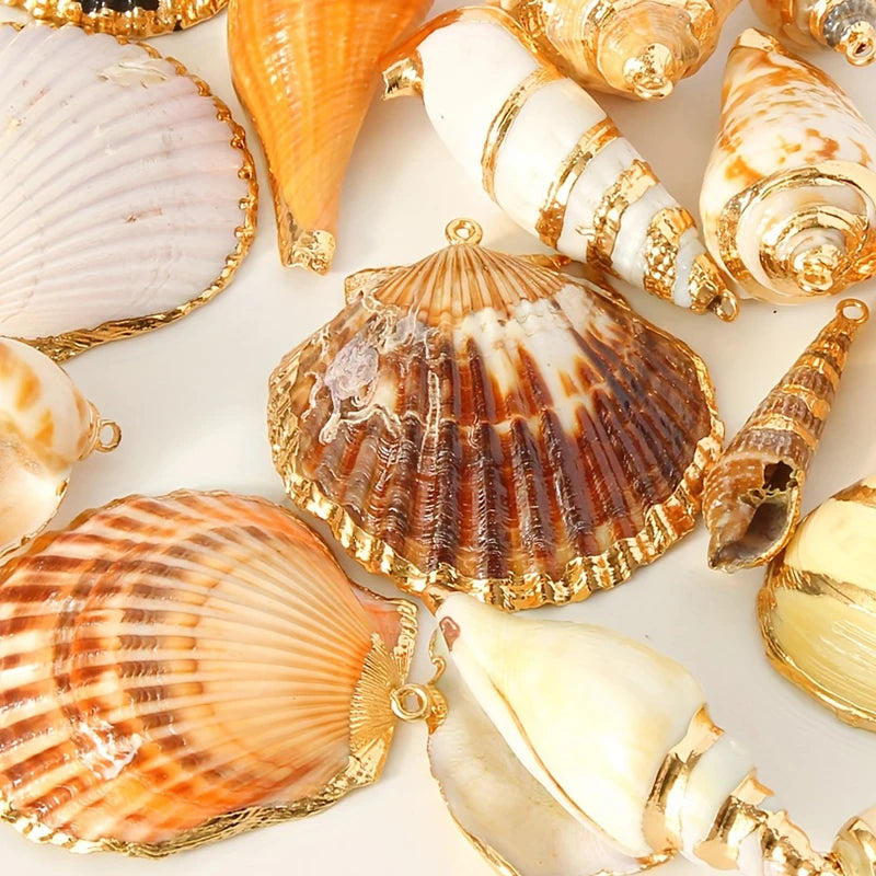 18 Piece Natural Shell Pendant Set for DIY Jewelry Making Assorted Seashell Charms for Necklaces Bracelets and Earrings