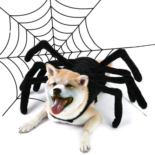 Pet Halloween Funny Spider Chest Back Creative Cat Small Dog Transformation Costume Halloween Party Festival Decoration Cosplay