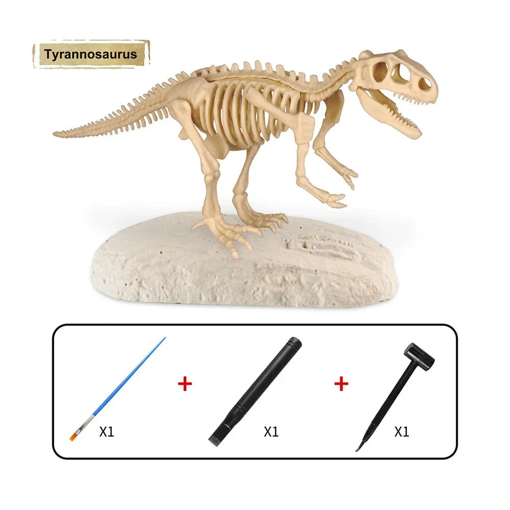 Dinosaur Fossil Excavation Kit for Kids Educational Archaeological Digging Adventure with Realistic Skeleton Models Perfect Gift for Boys and Girls