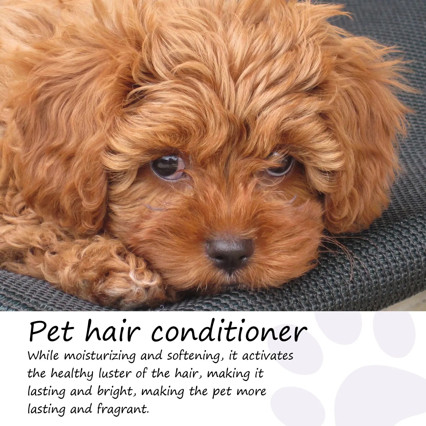 Pet Hair Conditioner Hair Softening Prevent Hair Knots Bathless Clean Odor Removal Moisturizing Cat Anti Mite Ticks Dog Shampoo