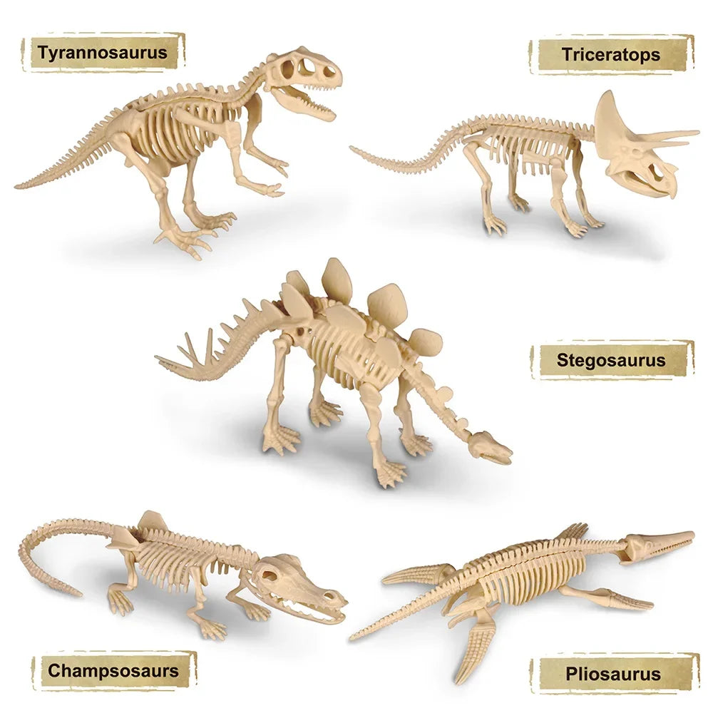 Dinosaur Fossil Excavation Kit for Kids Educational Archaeological Digging Adventure with Realistic Skeleton Models Perfect Gift for Boys and Girls