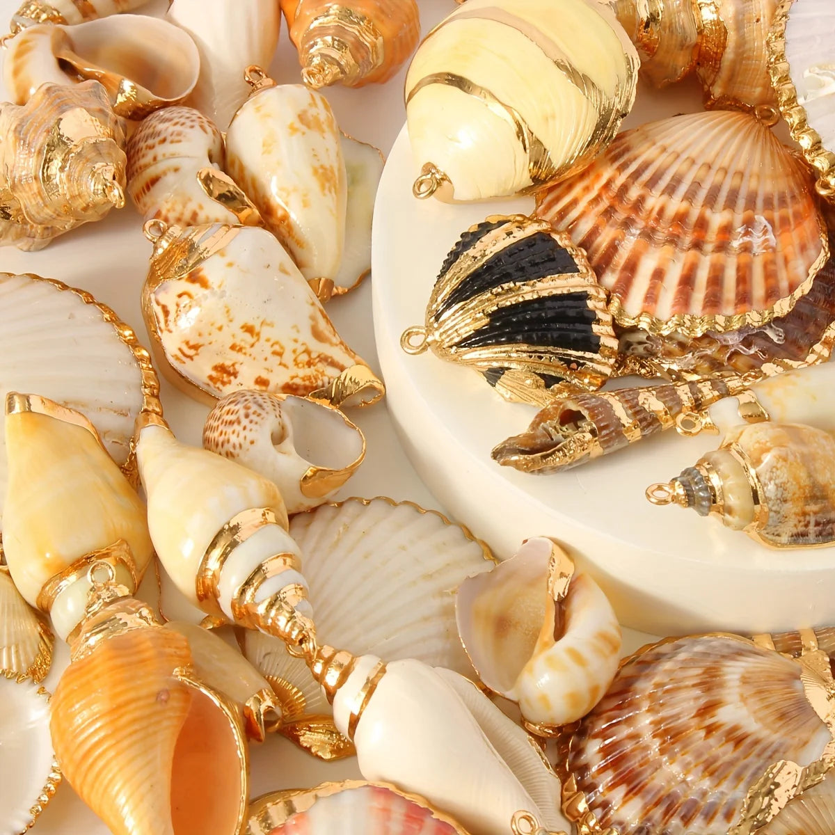 18 Piece Natural Shell Pendant Set for DIY Jewelry Making Assorted Seashell Charms for Necklaces Bracelets and Earrings