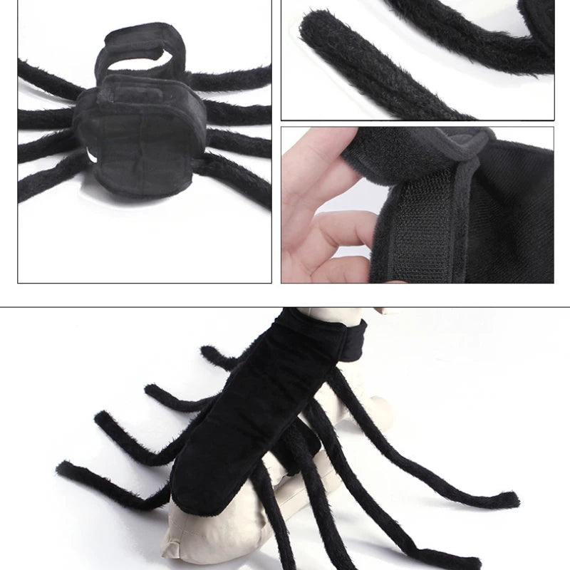 Pet Halloween Funny Spider Chest Back Creative Cat Small Dog Transformation Costume Halloween Party Festival Decoration Cosplay