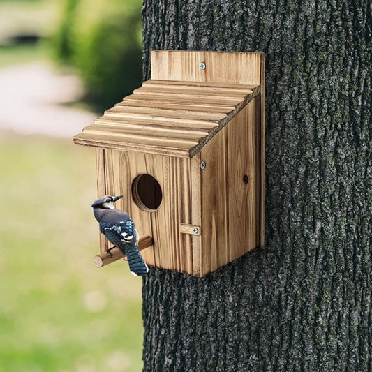 Garden Wooden Hummingbird House Wild Bird For Outdoor Hanging Feeder For Outdoor Garden Yard Decoration Swallow Sparrow Nesting