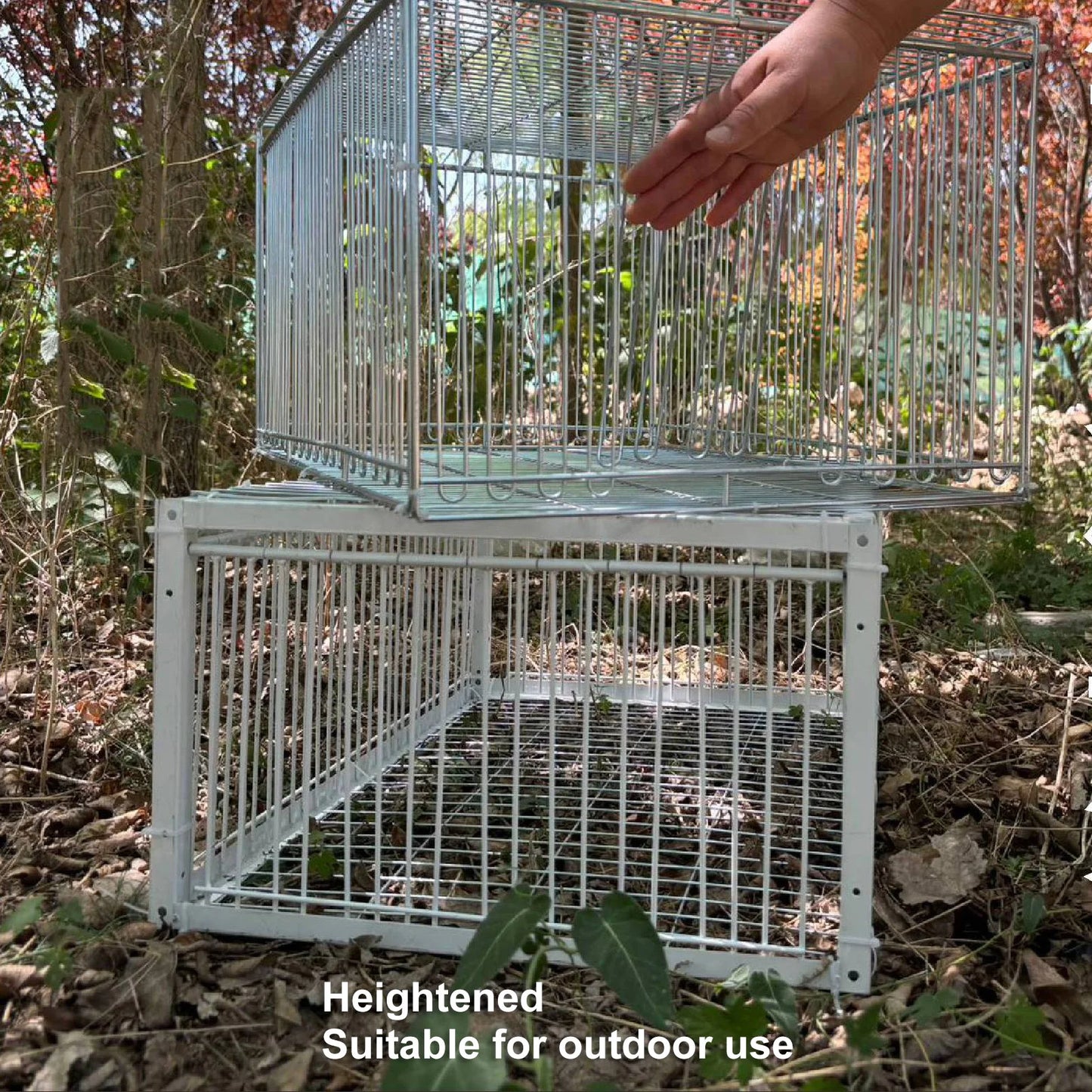 Bird Trap Cage Single Way Entry Sturdy Rust Resistant Portable Escape Proof Animal Trap Cage for Farm Garden Warehouses Garage