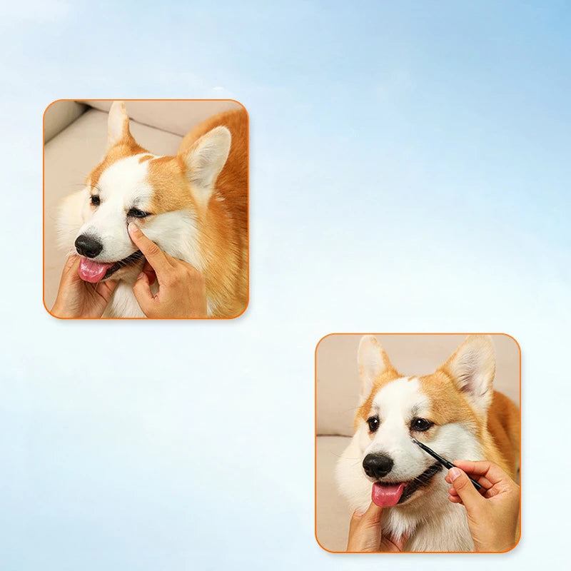 Pets Tear Stain Remover Powder 30g Cat And Dog Eye Tear Stain Powder With Tear Stain Brush Gentle Absorbing Tears Powder