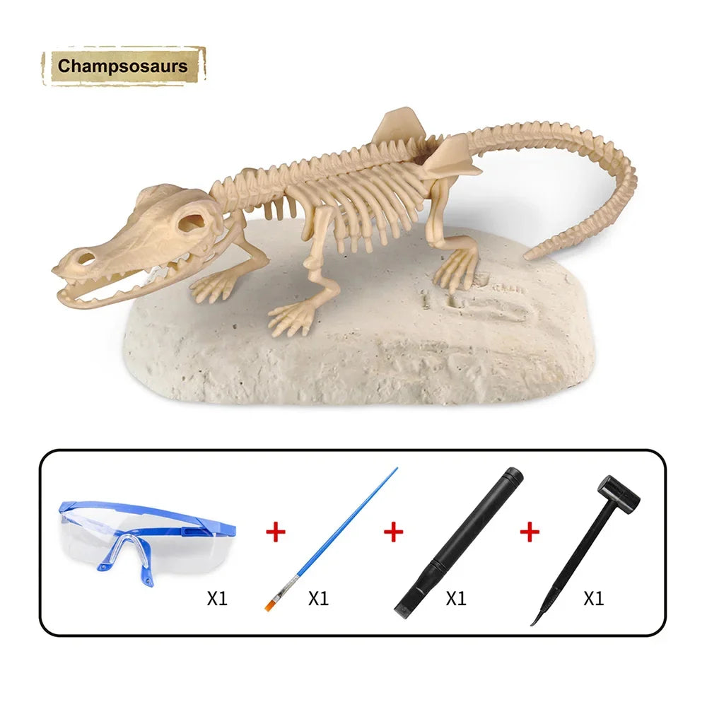 Dinosaur Fossil Excavation Kit for Kids Educational Archaeological Digging Adventure with Realistic Skeleton Models Perfect Gift for Boys and Girls