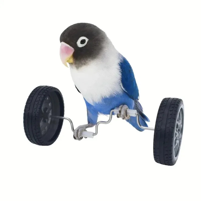 Creative Parrot Balance Toy Interactive Birds Toy Mini Intelligence Training Toy Pet Toy for Small Medium Birds Pet Supplies