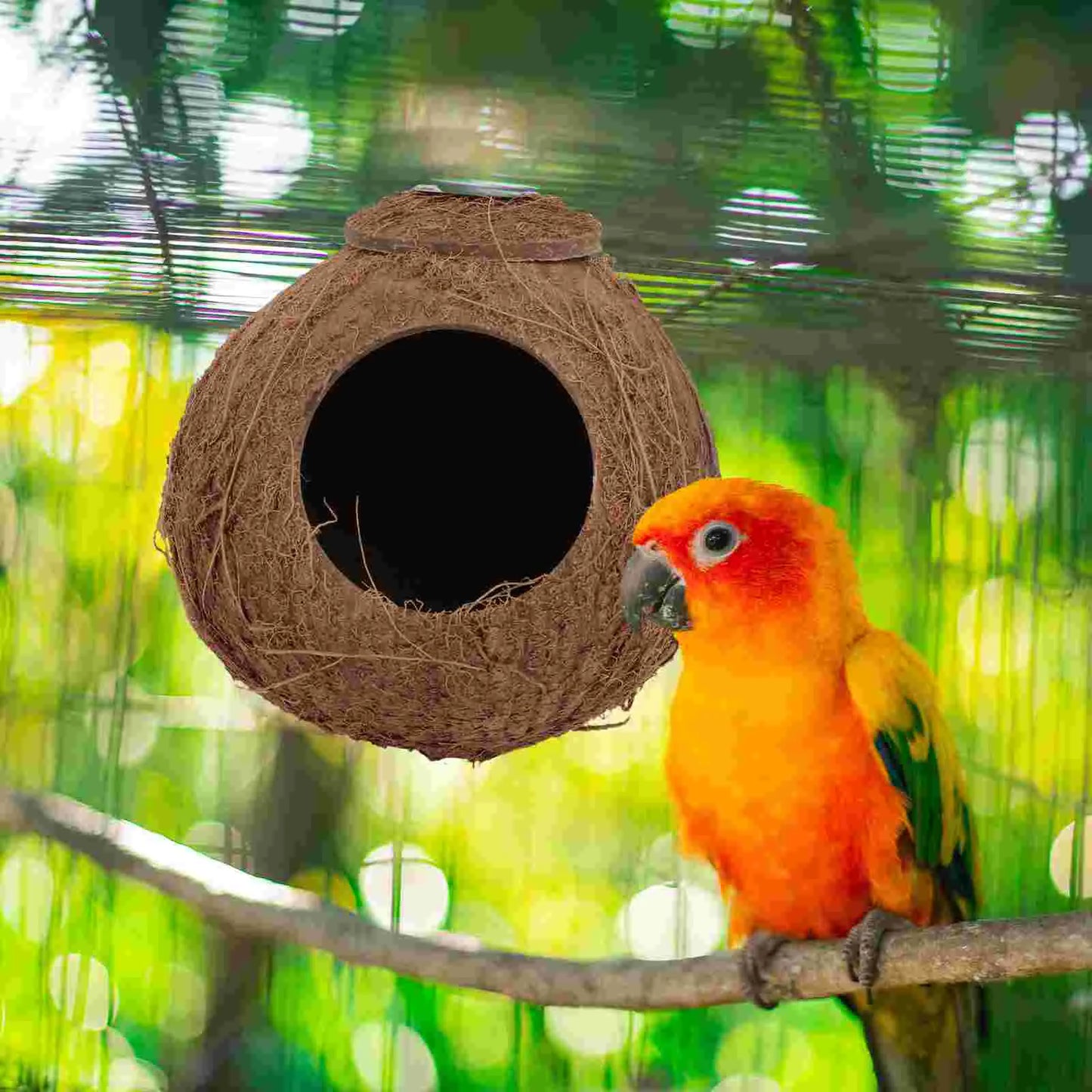 Coconut Shell Bird Nest Pet Parrot House Birds Toy Animals Biting Plaything Cages Natural Hamster  jaula palomas casa passarinho