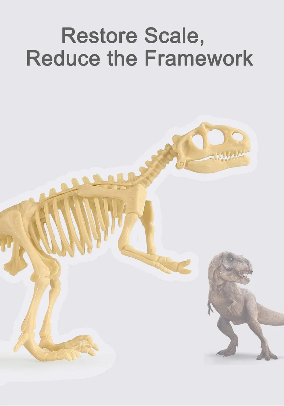 Dinosaur Fossil Excavation Kit for Kids Educational Archaeological Digging Adventure with Realistic Skeleton Models Perfect Gift for Boys and Girls