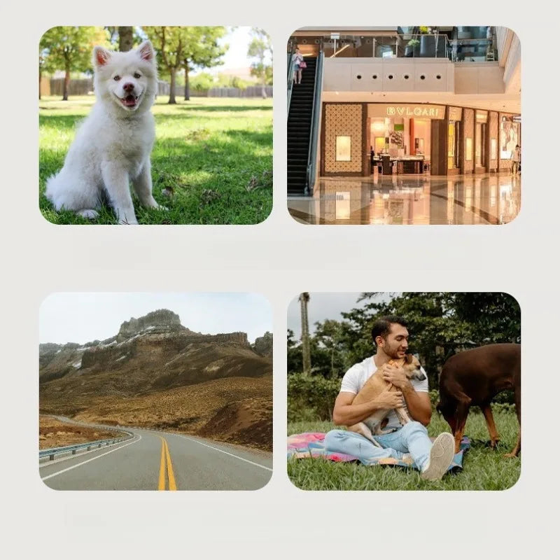 Luxury Pet Stroller 3 in 1  with 4 Wheels for Medium Small Size Dogs and Cats Detachable Carrier for Puppy Kitty Doggie Stroller