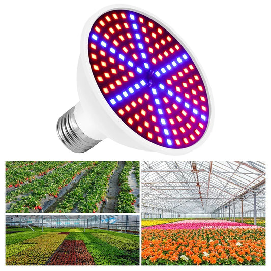 220V E27 300LEDs Plant Grow Light Full Spectrum Bulb