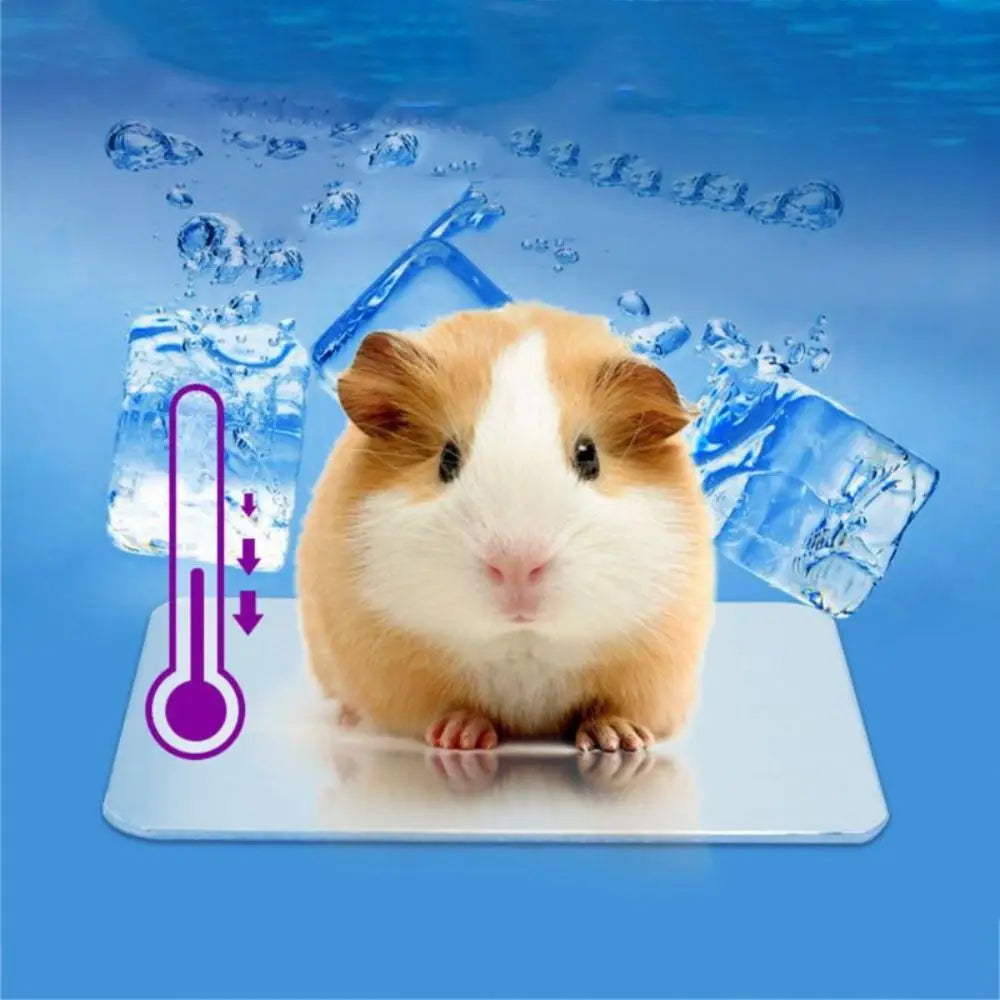 Durable Aluminium-plastic Pet Cooling Board Silver Hamster Rabbit Supplies Hamster Cooling Board Cool Pet Ice Pad