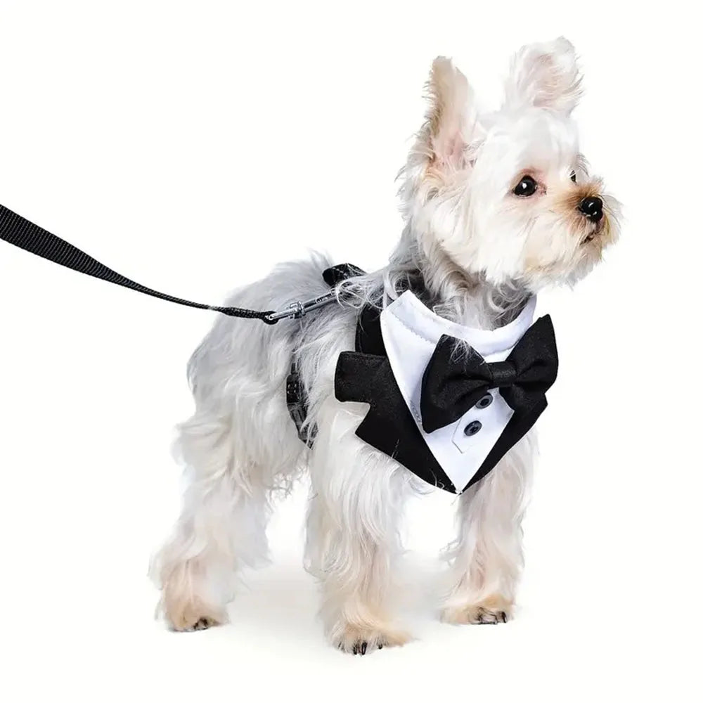 Dog Tuxedo Costume Formal Shirt Dog Wedding Black Jacket Suit Pet Puppy Prince Ceremony Bow Tie Suit Small Dogs Cat Vest Clothes