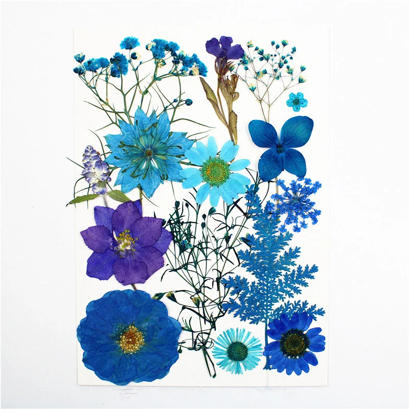 Dried Flowers Real Natural Plant Pressed Flower for Epoxy Resin DIY Keychain Pendant Jewelry Making