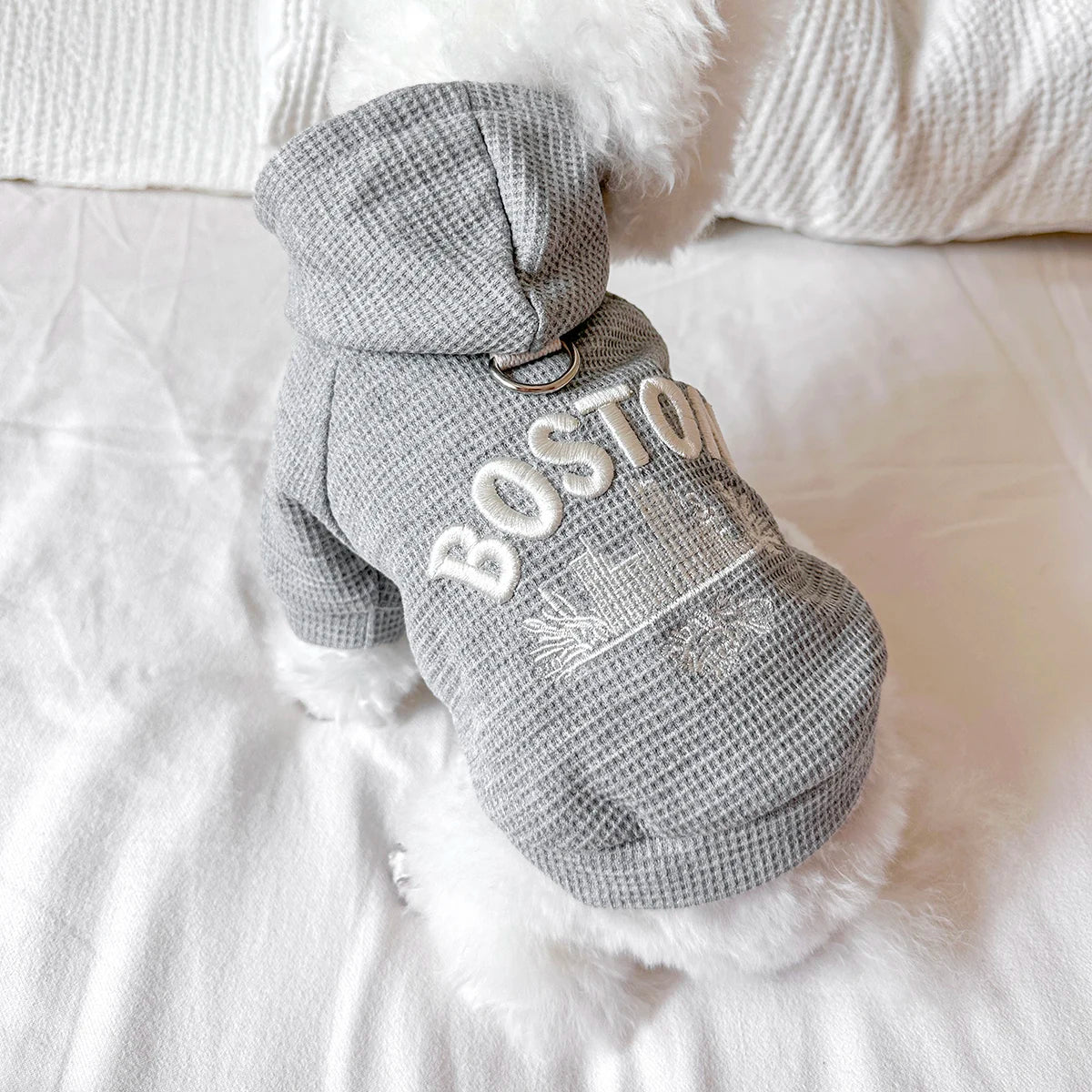 Pet Clothes Dog Cat Out Handsome Cute Casual Comfortable Spring Gray American Boston Sweater