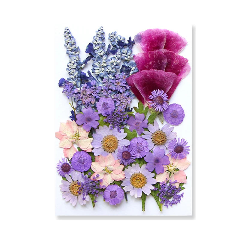 Dried Flowers Real Natural Plant Pressed Flower for Epoxy Resin DIY Keychain Pendant Jewelry Making