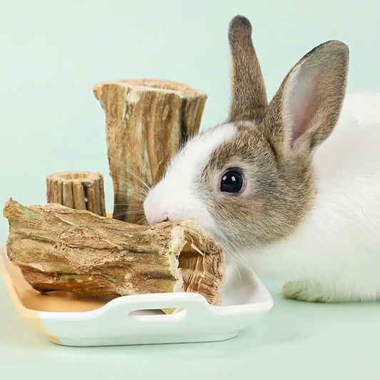 Hamster Chew Sticks 2X Wood Bunny Chewing Treats Natural Papaya Pet Teeth Care Supplies Healthy Teeth Grinding Toys For Indoor