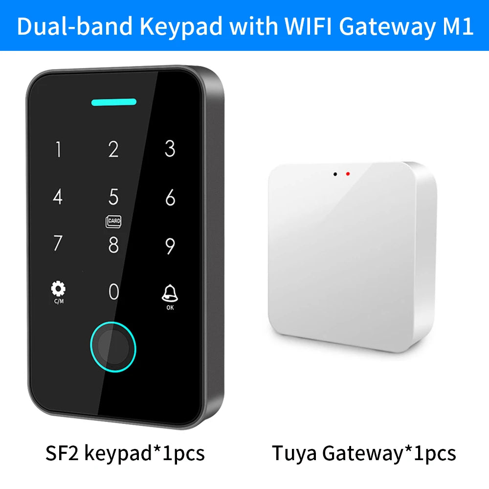 Bluetooth NFC Tuya App Smart Door Access Control System with RFID Fingerprint Keypad Outdoor Electric Magnetic Lock Rainproof