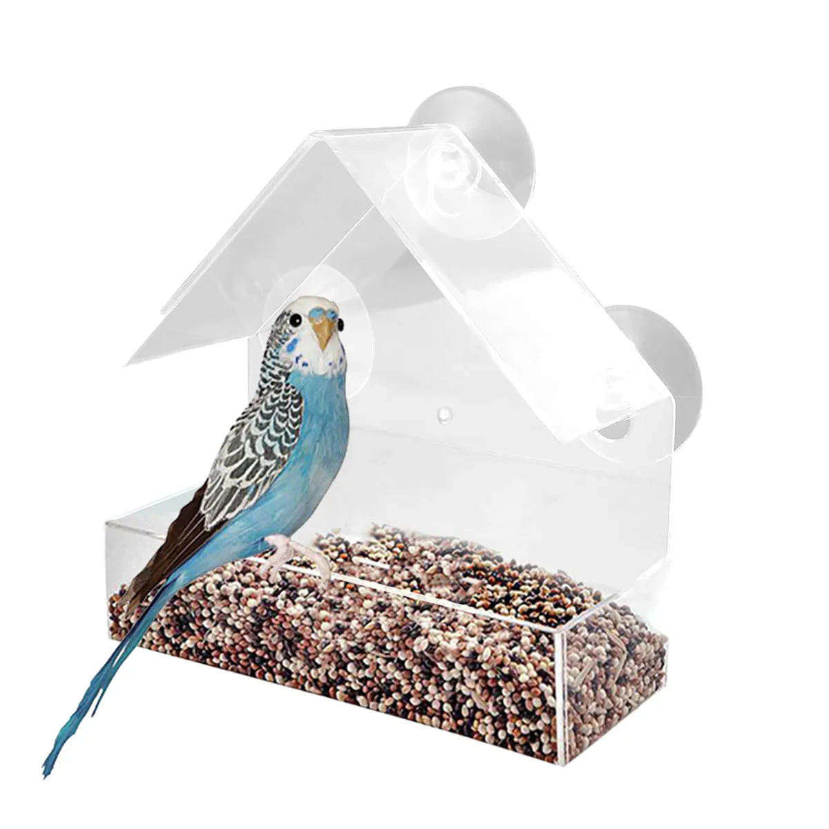 Bird Feeder Foot Feeding Tool Outdoor Bird Feeder Hanging Nut Feeding Multiple Hole Dispenser Holder Food Container