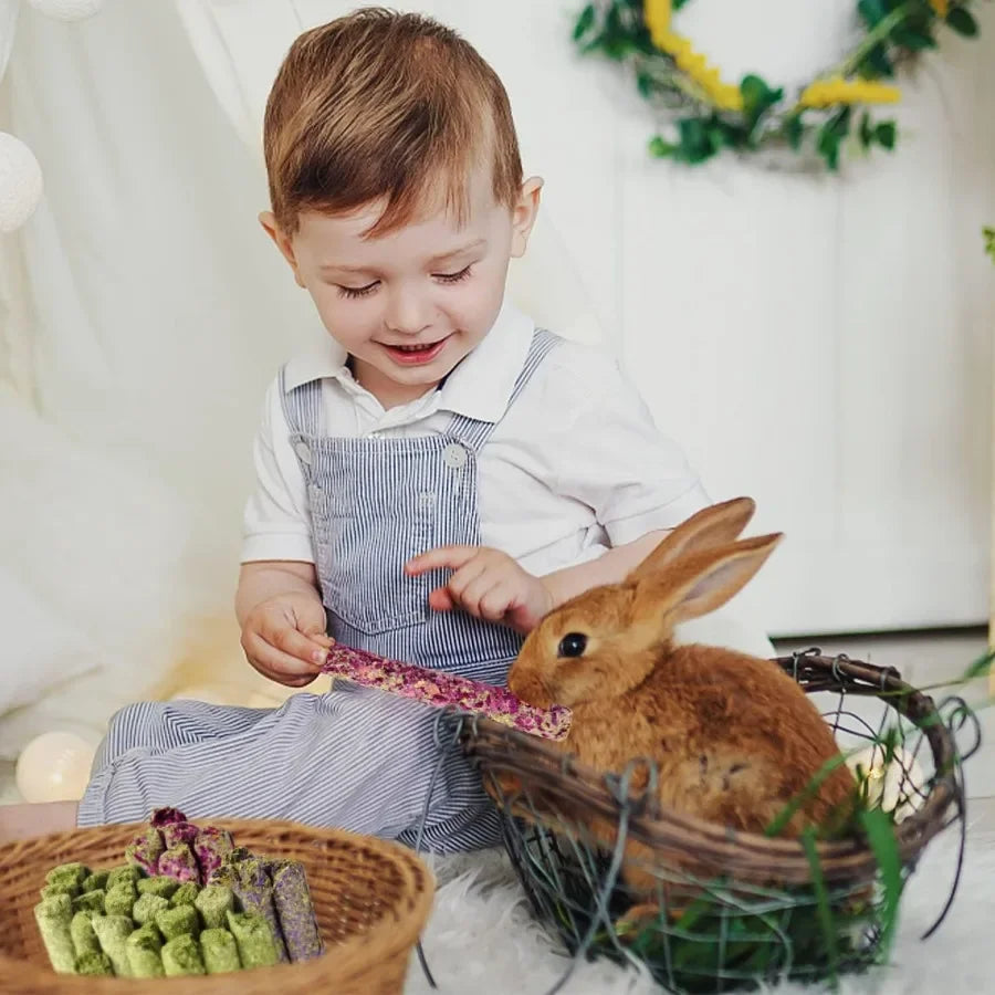 32Pcs Timothy Hay Sticks 320g for Rabbit Guinea Pig Hamster Natural Handmade Treats and Chews for Teeth Maintenance and Enrichm