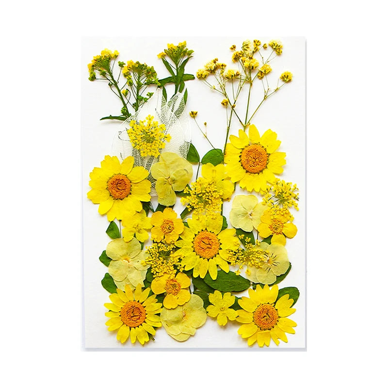 Dried Flowers Real Natural Plant Pressed Flower for Epoxy Resin DIY Keychain Pendant Jewelry Making