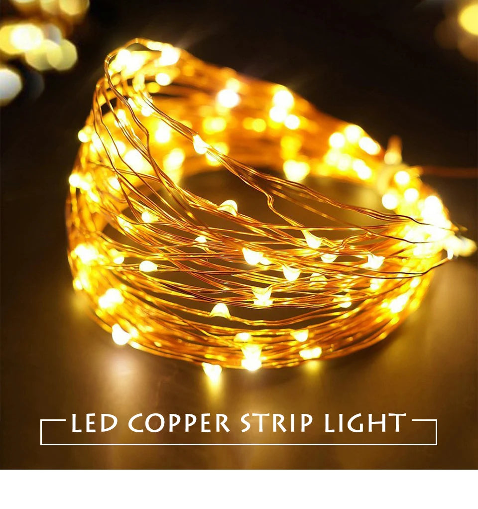 10M 5M 3M 2M Copper Wire LED Tinsel Garland Fairy Lights